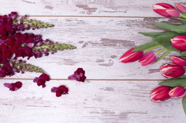 Pembe laleler eski beyaz ahşap masanın üstünde