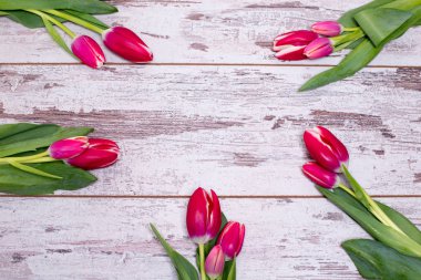 Pembe laleler eski beyaz ahşap masanın üstünde