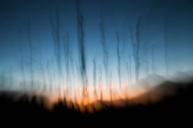 Kuzey Hindistan'da yaşam