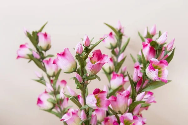 Beautiful artificial flowers close-up