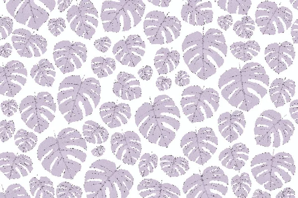 Purple monstera leaf, abstract background of tropical plant on white background
