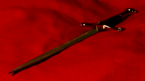 匕首和兰花 — 图库视频影像