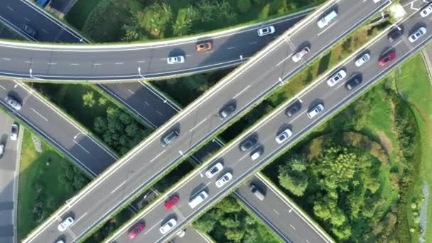 Vista Aérea Autopista Paso Elevado Ciudad — Vídeo de stock