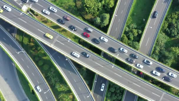 Vista Aérea Autopista Paso Elevado Ciudad — Vídeos de Stock