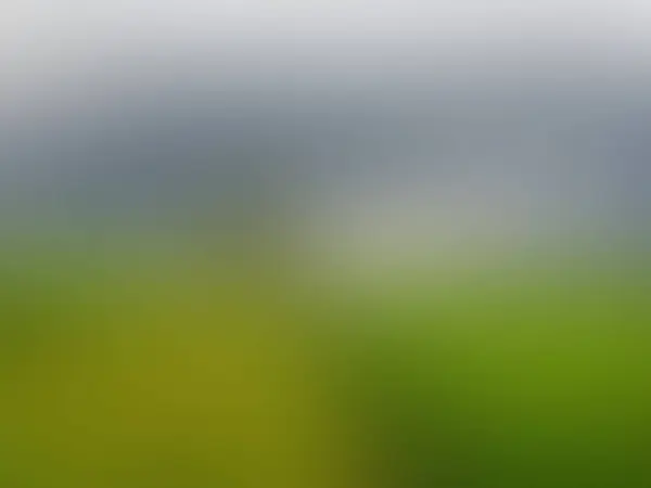 Blur Περίληψη Web Υπόβαθρο Ταπετσαρία Φόντο Θολή Εικόνα — Φωτογραφία Αρχείου