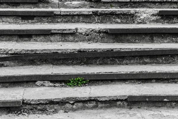 Na staré zničené kroky, tráva roste — Stock fotografie