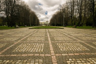 Kaliningrad Kant Island Park bitkileri