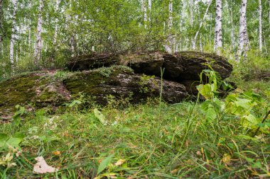 Megalit hayatta kalır