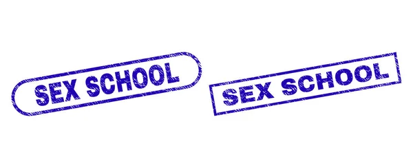 SEX SCHOOL Blue Rectangle Stamp Seal with Grunged Texture — Stock Vector