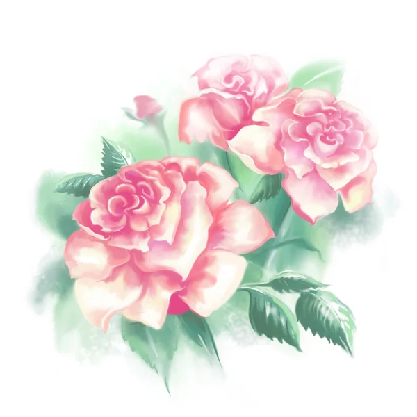 Fiori rosa chiaro rose e foglie verdi su uno sfondo chiaro. illustrazione digitale . — Foto Stock