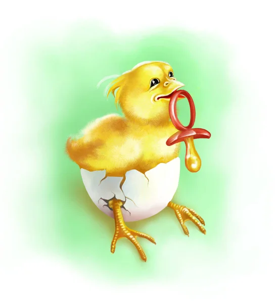 Pollo amarillo recién nacido en cáscara de huevo chupando un chupete. La ilustración digital . —  Fotos de Stock