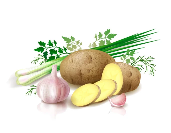 Bodegón con patatas en rodajas, cebolla verde y ajo. Ilustración vectorial . — Archivo Imágenes Vectoriales