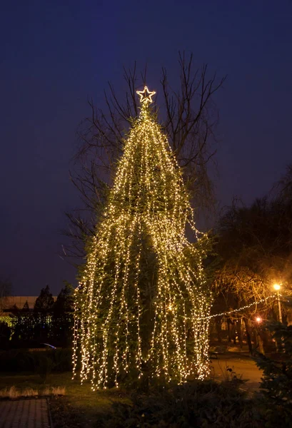 Farbig beleuchteter Weihnachtsbaum mit Ornamenten, Nacht im Freien — Stockfoto