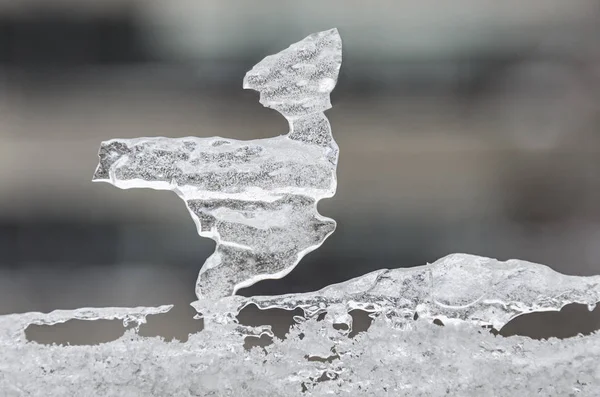 Buz penceresinden, kış vakti yapılan kuş şekli — Stok fotoğraf