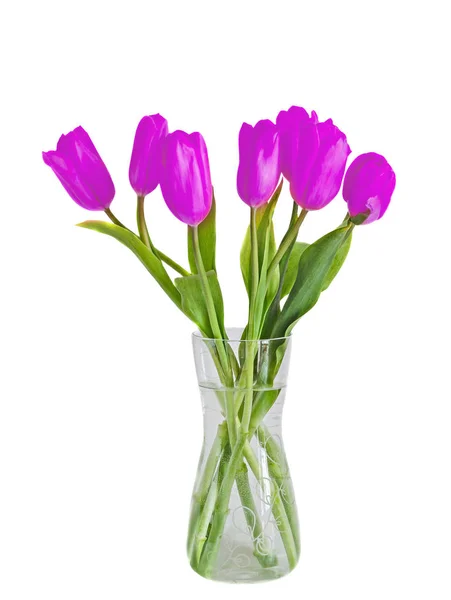 Tulipány fialové, lila květy v průhledné vázy, zelené listy — Stock fotografie