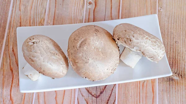 Pieczarki champignon, Pieczarka dwuzarodnikowa na białym talerzu, Zamknij — Zdjęcie stockowe