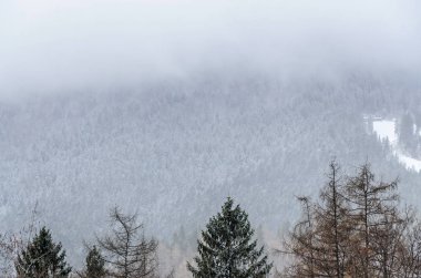 Dağ silsilesi ile çam ormanları ve sis, kar kış zamanla