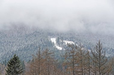 Dağ silsilesi ile çam ormanları ve sis, kar kış zamanla