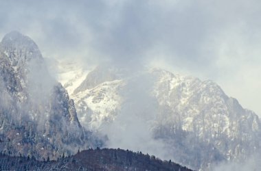 Karpatlar Sıradağları ile çam ormanları ve sis, kış