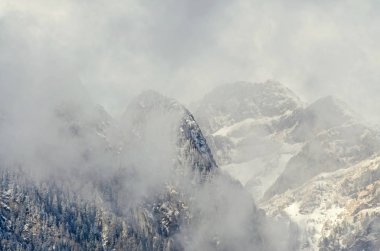 Romen Karpatlar dağ silsilesi ile çam ormanları ve sis