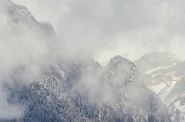 Romen dağlar aralığıyla çam ormanı ve sis, kış