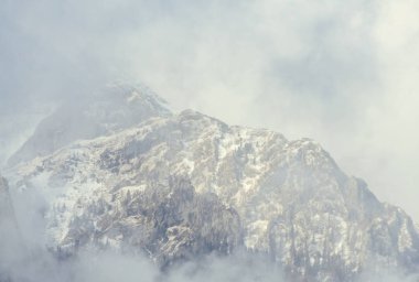 Karpatlar Sıradağları ile çam ormanları ve sis, kış