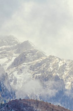 Romen dağlar aralığıyla çam ormanı ve sis, kış