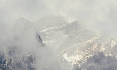 Romen Karpatlar dağ silsilesi ile çam ormanları ve sis