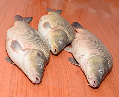 Sazan balıkları yakın kadar çiğ et, ahşap arka plan üzerinde izole 