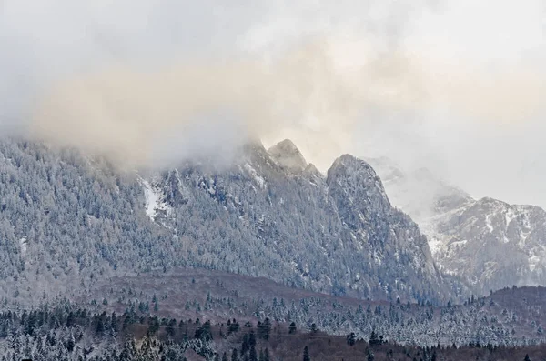 Romen dağlar aralığıyla çam ormanı ve sis, kış