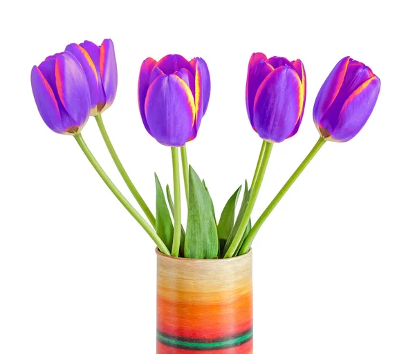 Flores de tulipanes malva con rayas amarillas, maceta de colores —  Fotos de Stock