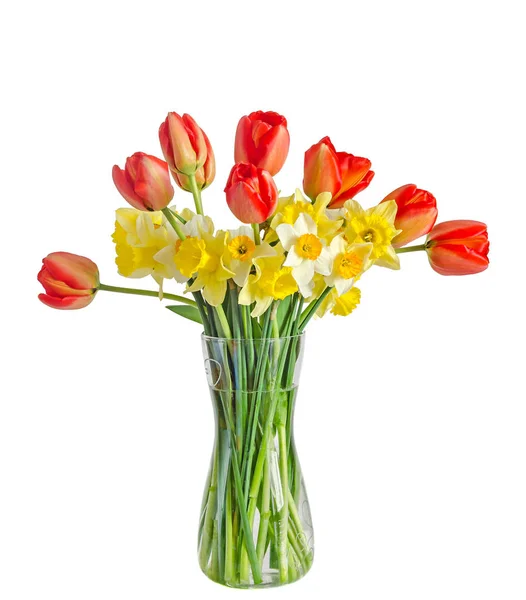 Žluté a bílé narcisy květiny, červené oranžové tulipány — Stock fotografie
