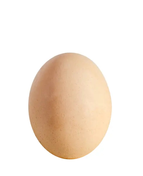 Žluté hnědé kuřecí vajíčko, izolované na bílém pozadí, zblízka — Stock fotografie
