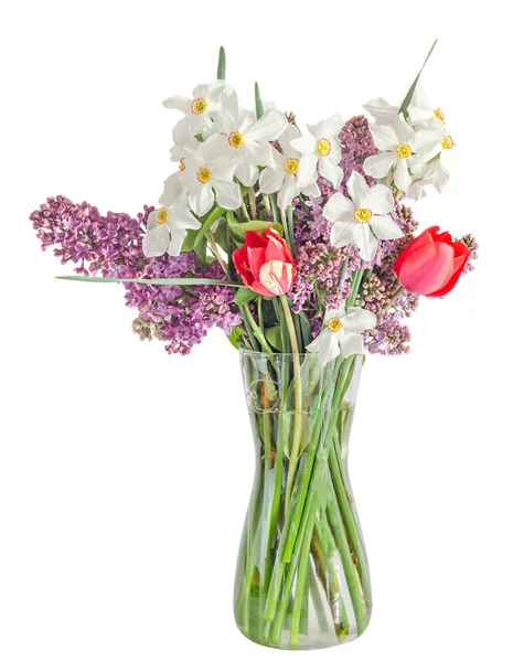 White daffodils flowers, lilac flowers and tulips — Stock Photo, Image