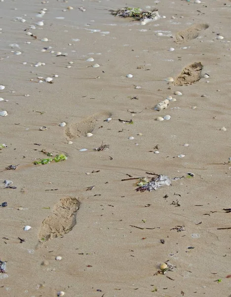 Fußstapfen im Sand des Strandes, Schwarzmeerküste, Muscheln, Fußabdrücke — Stockfoto