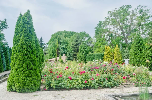 БАЛЬЧИК, БУЛЬГАРИЯ - 19 ИЮНЯ 2016 года. Балчикский ботанический сад — стоковое фото