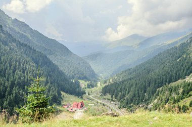 Karpat Dağları, yeşil orman çam ağaçları ile Fagaras hills