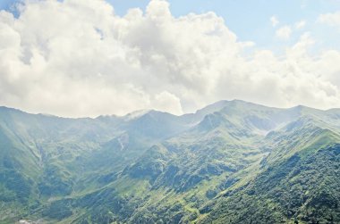 Fagaras Dağları, yeşil çim ve çam ormanları ile Karpatlar
