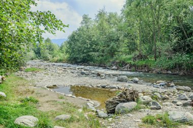 Nehir yan, Avrupa, Romanya, Sibiu County. Kayalar, ağaçlar ve su