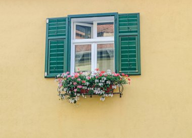Renkli çiçekli yeşil pencere dışında duvar sarı.