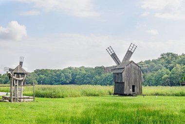 Yel değirmeni yakın kadar yeşil orman, vahşi bitki örtüsü, mavi bulutlar gökyüzü