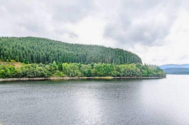 Baraj ve göl Oasa, nehir Sebes, çam ormanları, Sureanu Dağları