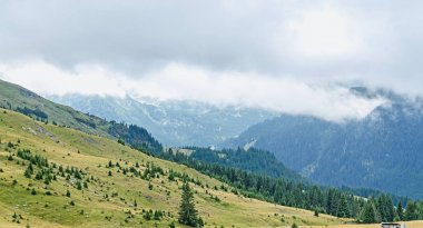 Transalpina road, Parang Dağları tepelerinde yeşil çimen