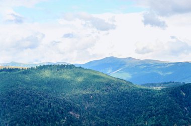 Yeşil çim, Parang Dağları ile kaplı tepeler ile Transalpina yol