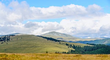 Yeşil çim, Parang Dağları ile kaplı tepeler ile Transalpina yol