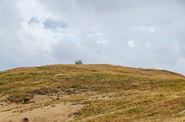 Yeşil çim, Parang Dağları ile kaplı tepeler ile Transalpina yol