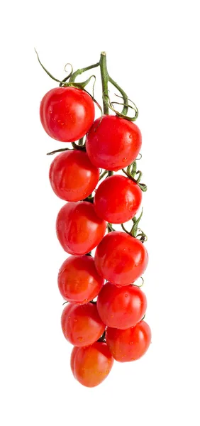 Группа красных помидоров черри, куча, виноградная лоза, крупным планом, изолированные — стоковое фото