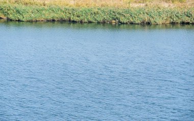 Su Gölü doku kapatmak açık bitki örtüsü