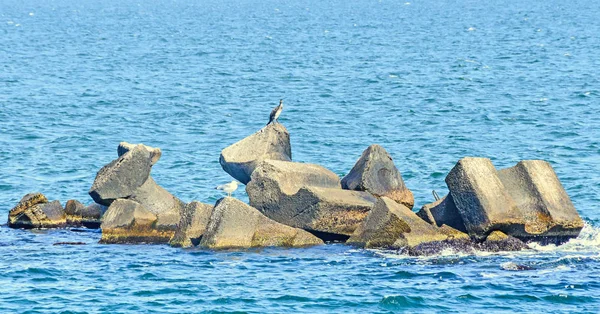 Stabilopods, rotsen in het zeewater, zwarte zee, blauw groen water — Stockfoto