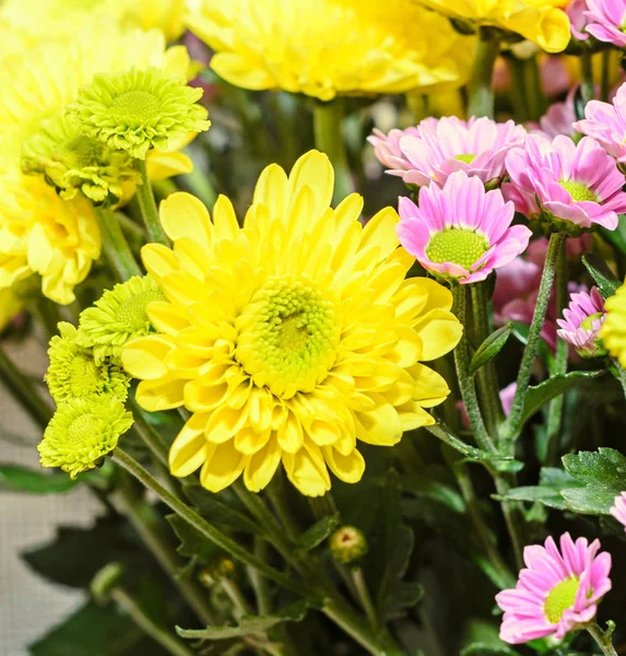 Flores de ramo de crisantemos malva y amarillo, arreglo floral — Foto de Stock